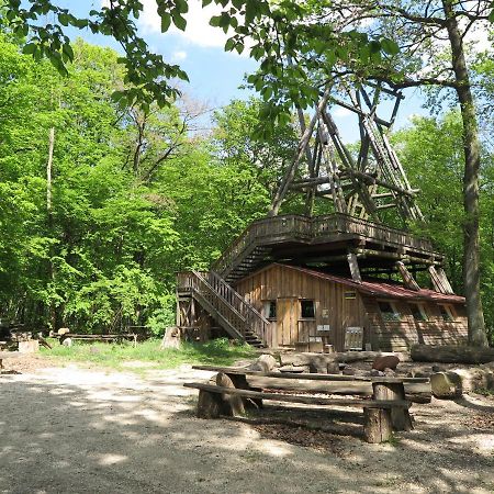Villa Ochys Waldfreizeitpark Oberkreuzstetten Esterno foto