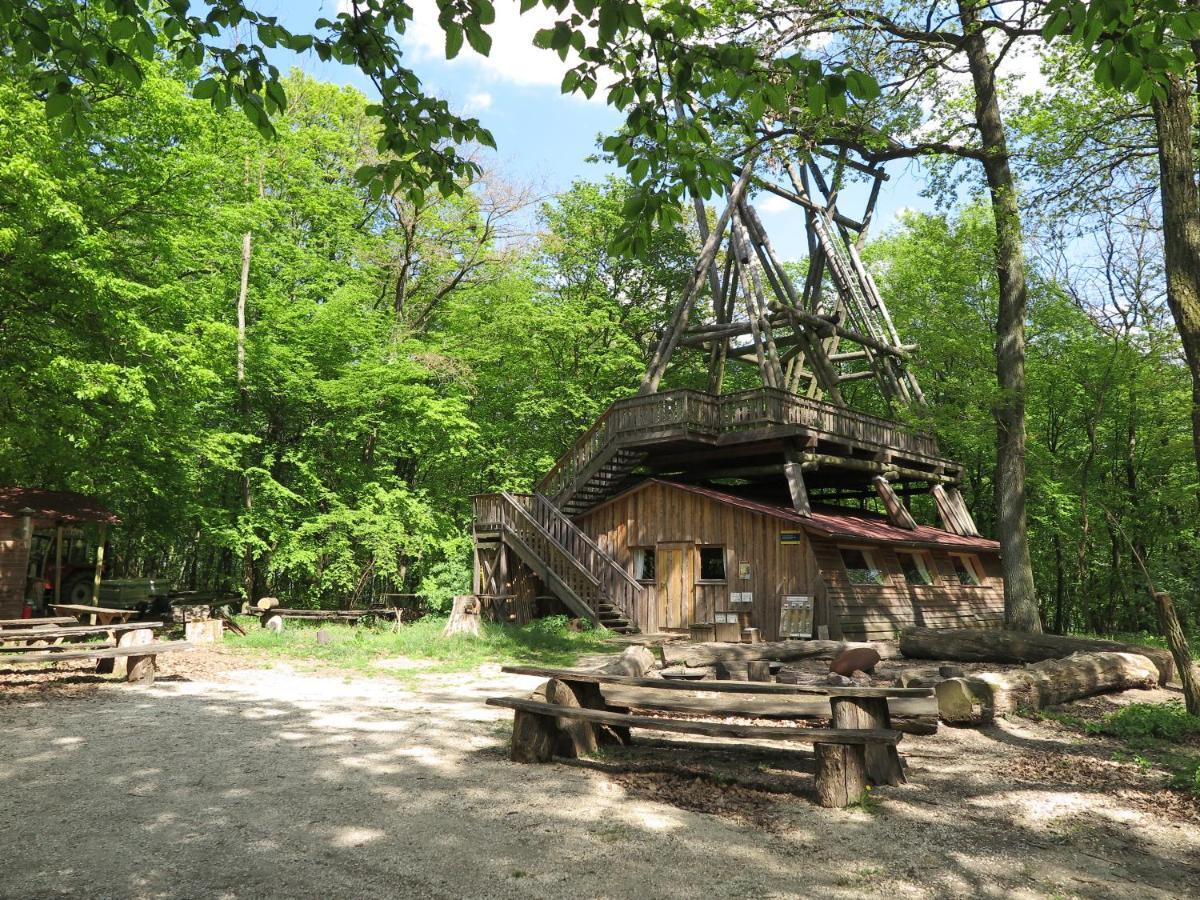 Villa Ochys Waldfreizeitpark Oberkreuzstetten Esterno foto